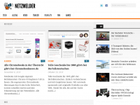 Screenshot des Blogs netzmelder