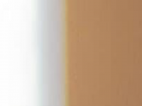 Screenshot des Blogs Bautagebuch, Bauhaus Bungalows und mehr