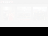 Screenshot des Blogs Profiboxen Torgau