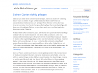 Screenshot des Blogs google-ökonomie.de