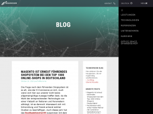 Screenshot des Blogs SEO- und Internet-News