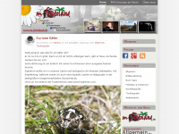 Screenshot des Blogs Markus Friedland-Fotografie