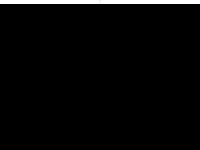 Screenshot des Blogs evoseven.net