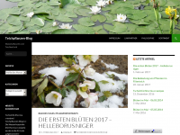 Screenshot des Blogs Teichpflanzen-Blog