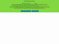 Screenshot des Blogs Kunstköder Vertrieb