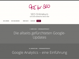 Screenshot des Blogs Fit für SEO