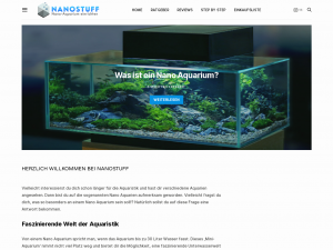 Screenshot des Blogs Nanostuff