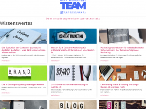 Screenshot des Blogs MeinMarketingTeam-Blog