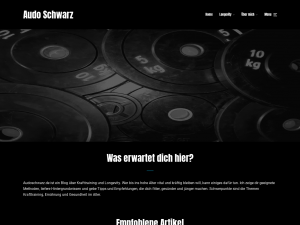 Screenshot des Blogs audoschwarz.de