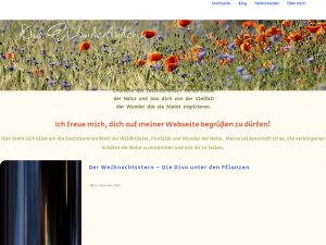 Screenshot des Blogs Die Wunderfinderin