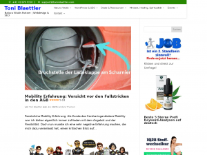 Screenshot des Blogs Toni Blaettler Online-Marketing