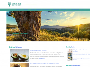Screenshot des Blogs Forum der Gesundheit