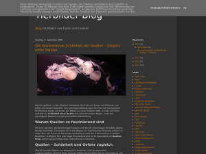 Screenshot des Blogs Tierbilder Blog