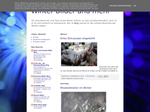 Screenshot des Blogs Blog Winter Bilder und mehr