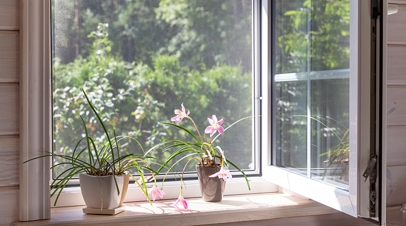 Ein Fenster mit Blumen auf der Fensterbank und mit einem Fliegengitter versehen