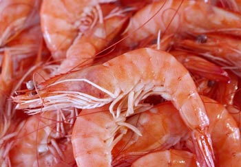 Jede Menge Shrimps