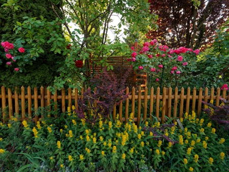 Naturgarten mit einem Naturholzzaun